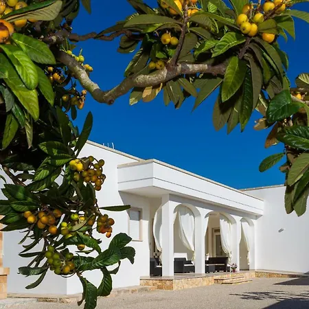 Paloma B&B-2